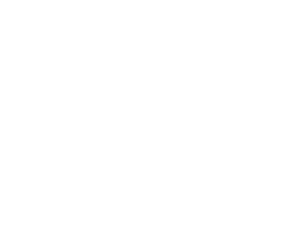 www.labarcadinoe.com